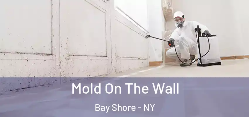  Mold On The Wall Bay Shore - NY