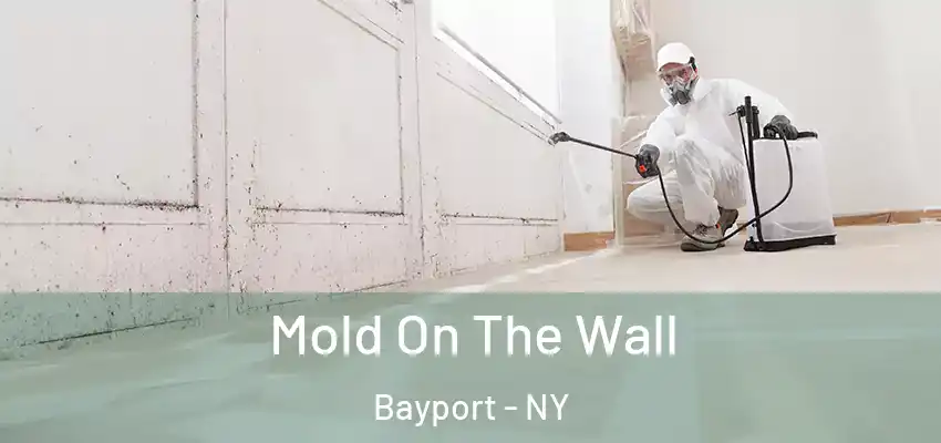  Mold On The Wall Bayport - NY