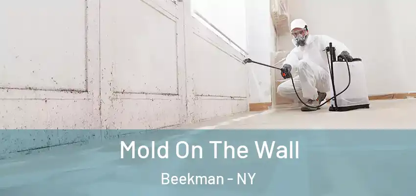 Mold On The Wall Beekman - NY