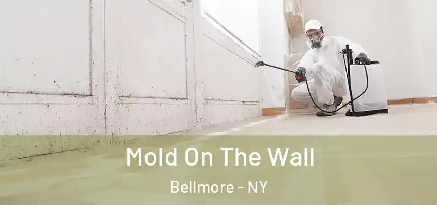 Mold On The Wall Bellmore - NY