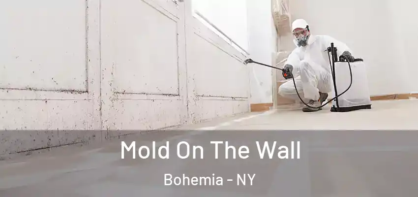 Mold On The Wall Bohemia - NY