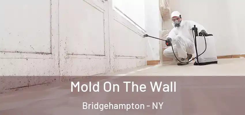 Mold On The Wall Bridgehampton - NY