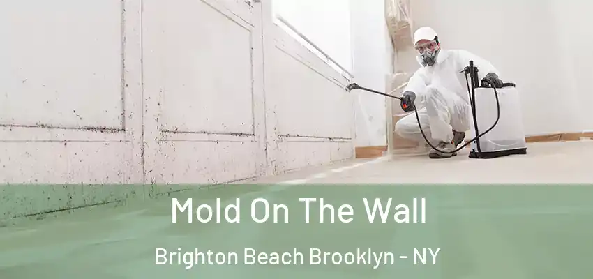  Mold On The Wall Brighton Beach Brooklyn - NY