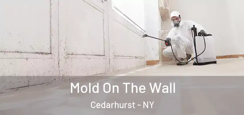 Mold On The Wall Cedarhurst - NY
