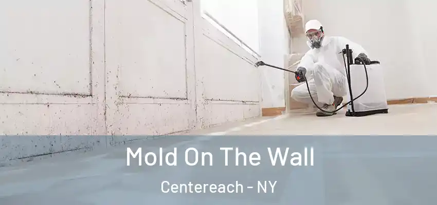  Mold On The Wall Centereach - NY