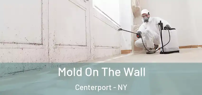  Mold On The Wall Centerport - NY