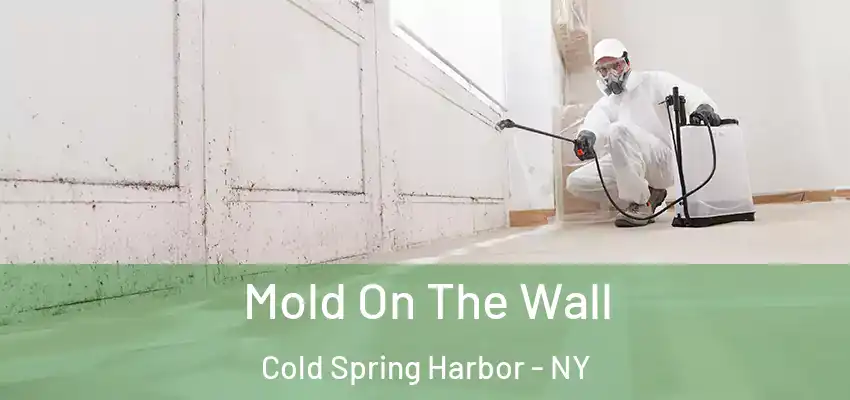  Mold On The Wall Cold Spring Harbor - NY