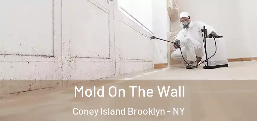  Mold On The Wall Coney Island Brooklyn - NY