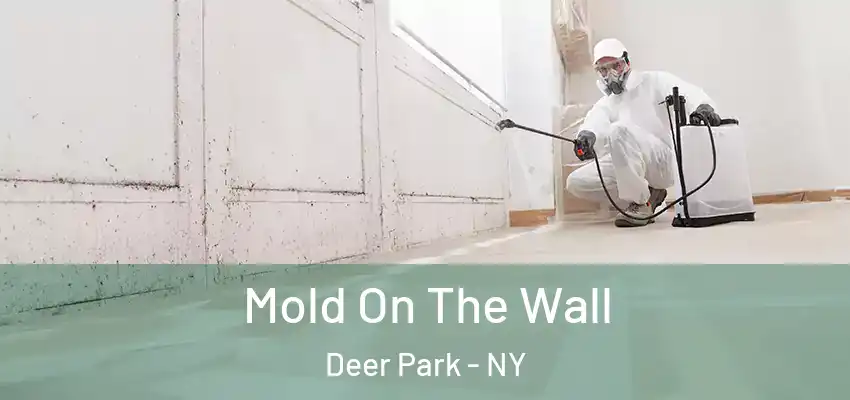 Mold On The Wall Deer Park - NY