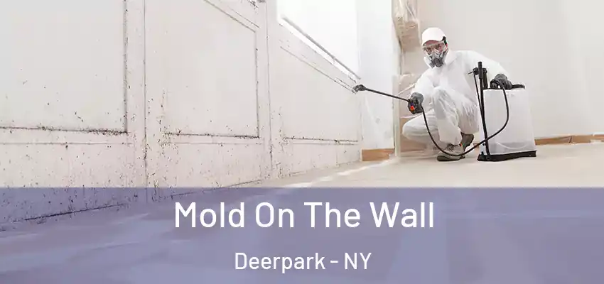  Mold On The Wall Deerpark - NY