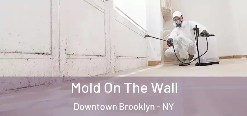  Mold On The Wall Downtown Brooklyn - NY