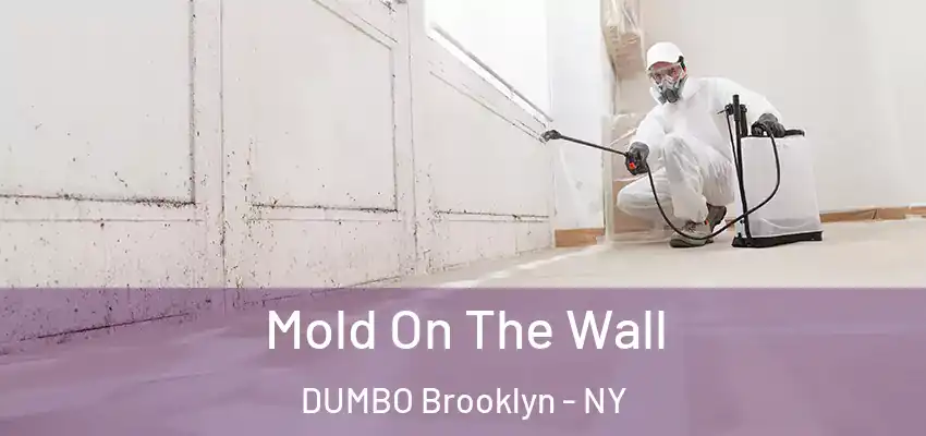  Mold On The Wall DUMBO Brooklyn - NY