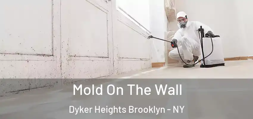  Mold On The Wall Dyker Heights Brooklyn - NY