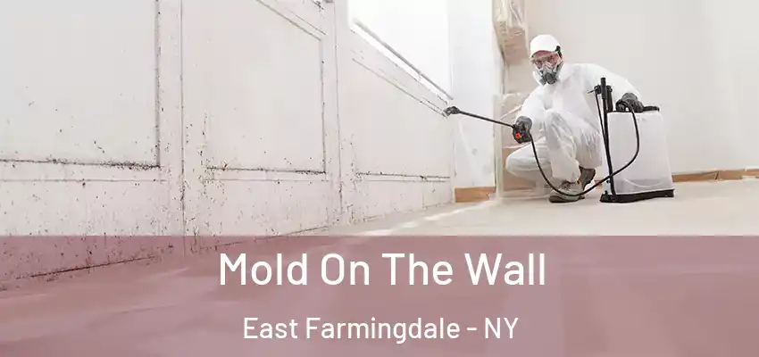 Mold On The Wall East Farmingdale - NY