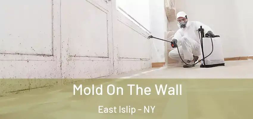  Mold On The Wall East Islip - NY