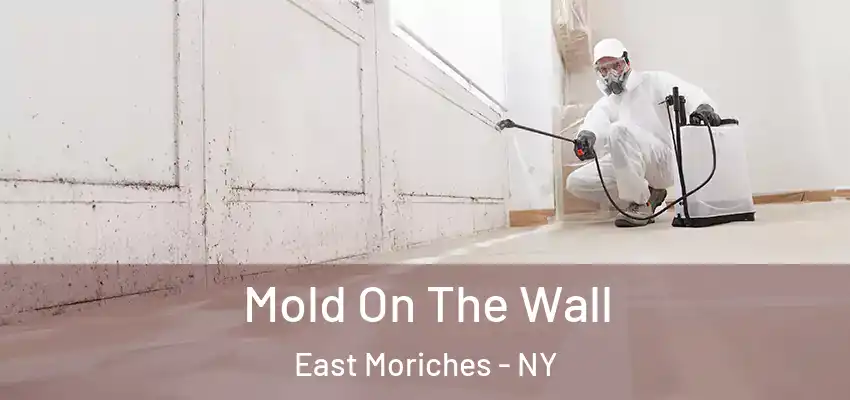  Mold On The Wall East Moriches - NY