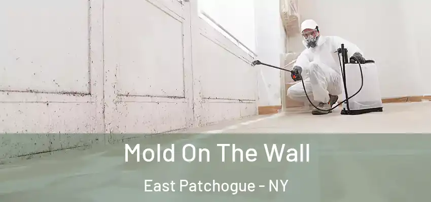  Mold On The Wall East Patchogue - NY