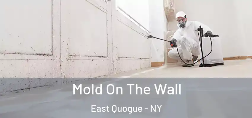  Mold On The Wall East Quogue - NY