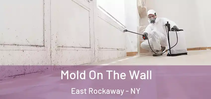 Mold On The Wall East Rockaway - NY