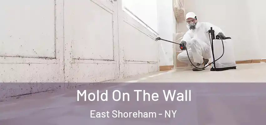 Mold On The Wall East Shoreham - NY