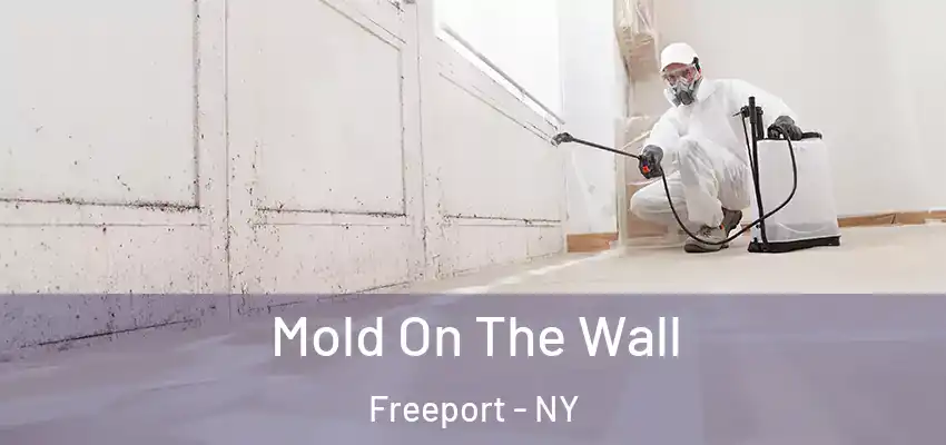 Mold On The Wall Freeport - NY
