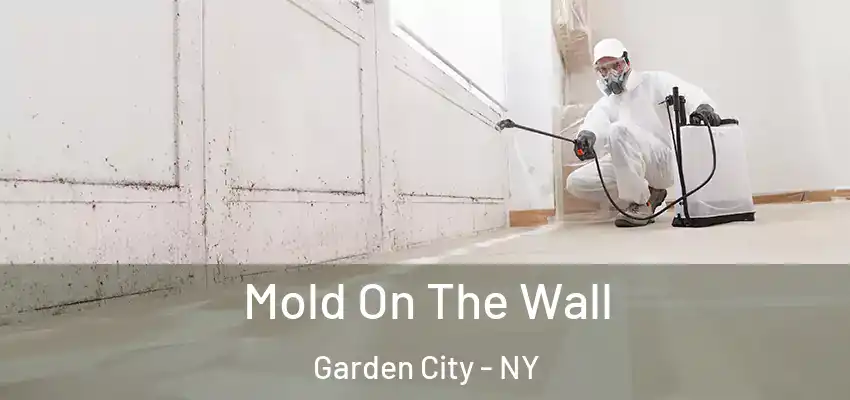  Mold On The Wall Garden City - NY