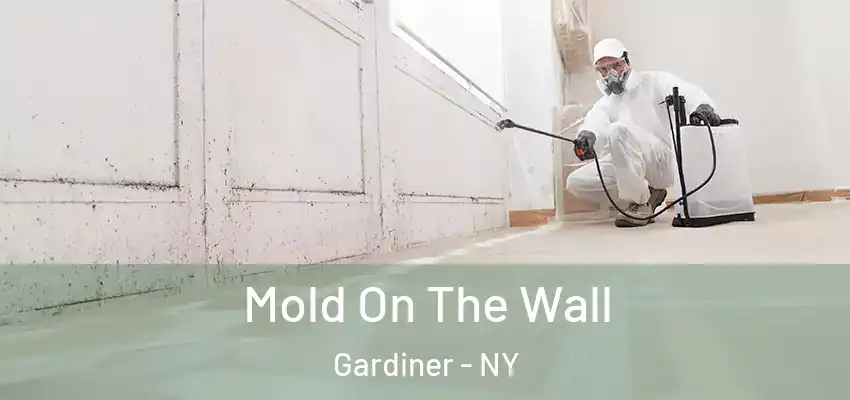 Mold On The Wall Gardiner - NY