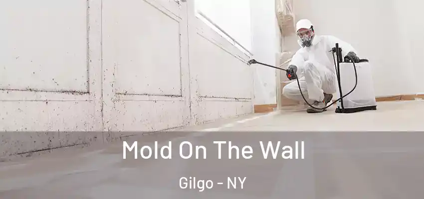  Mold On The Wall Gilgo - NY
