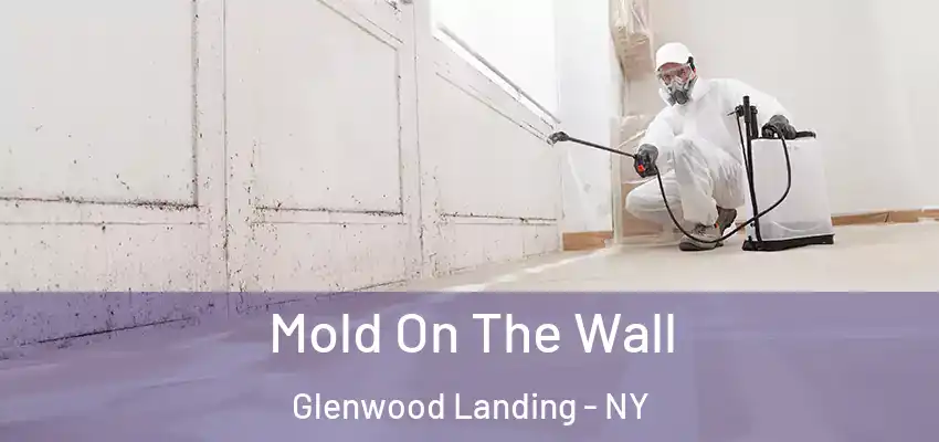  Mold On The Wall Glenwood Landing - NY