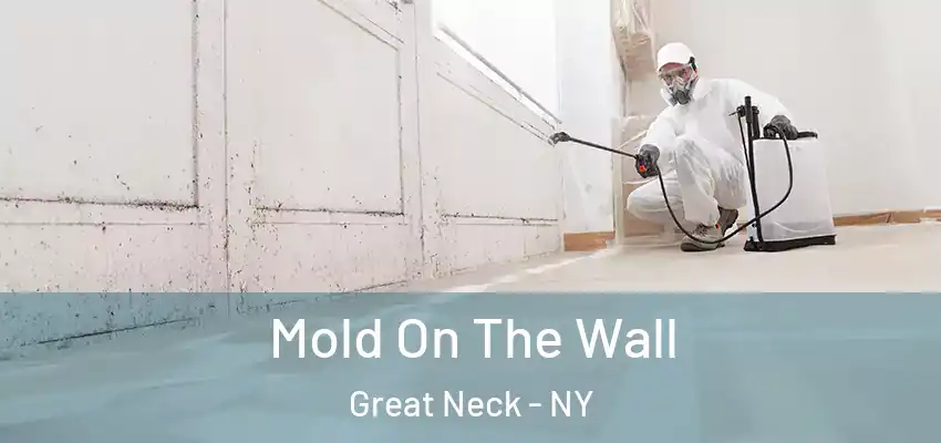  Mold On The Wall Great Neck - NY