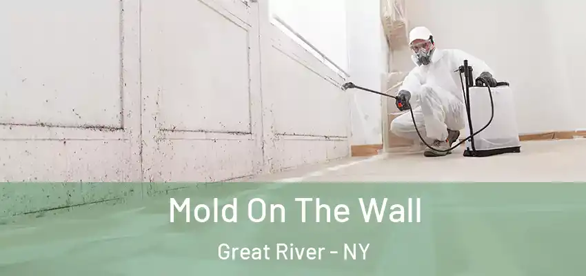  Mold On The Wall Great River - NY