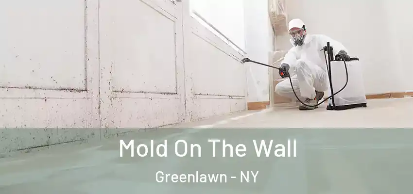 Mold On The Wall Greenlawn - NY