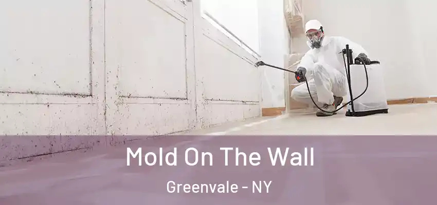 Mold On The Wall Greenvale - NY