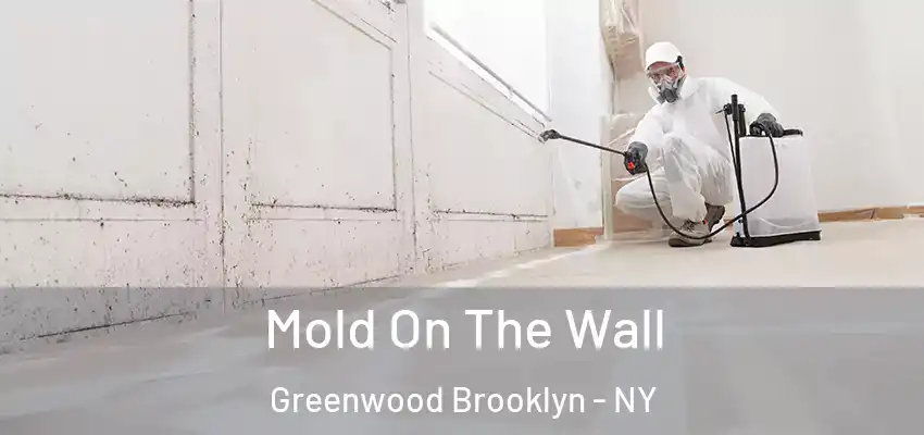  Mold On The Wall Greenwood Brooklyn - NY
