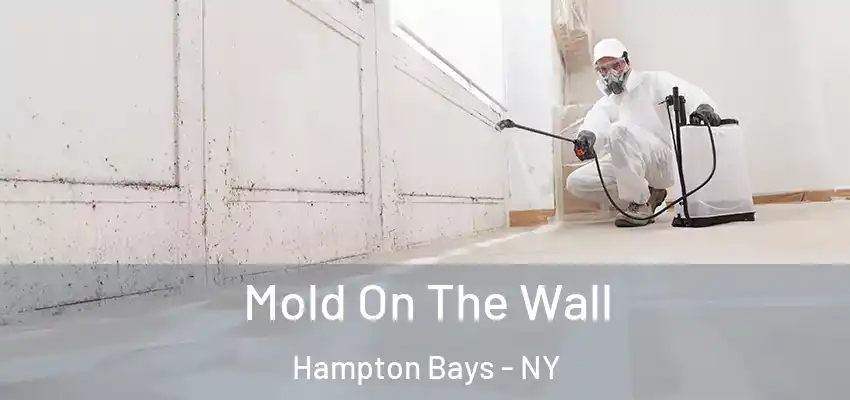 Mold On The Wall Hampton Bays - NY