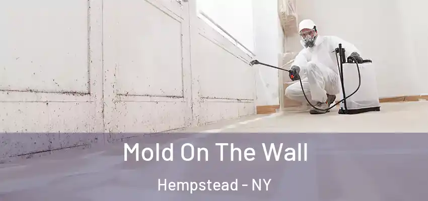 Mold On The Wall Hempstead - NY