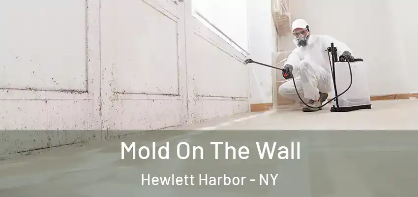  Mold On The Wall Hewlett Harbor - NY