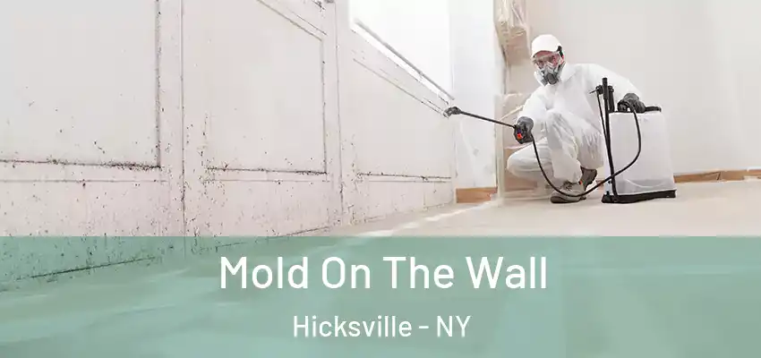  Mold On The Wall Hicksville - NY