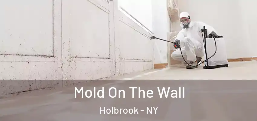 Mold On The Wall Holbrook - NY