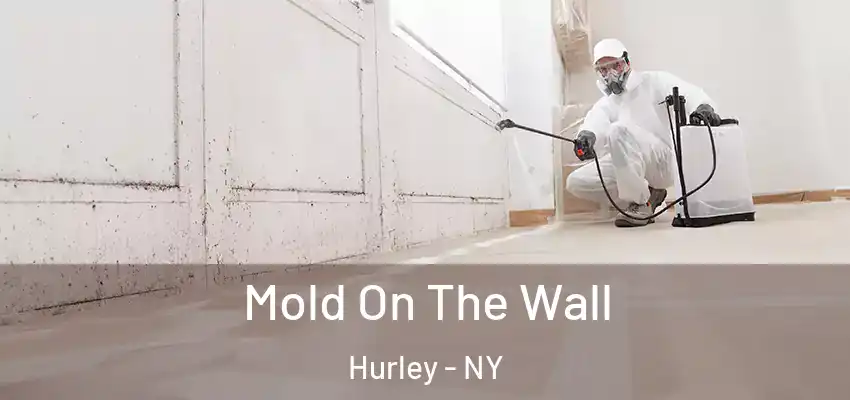 Mold On The Wall Hurley - NY
