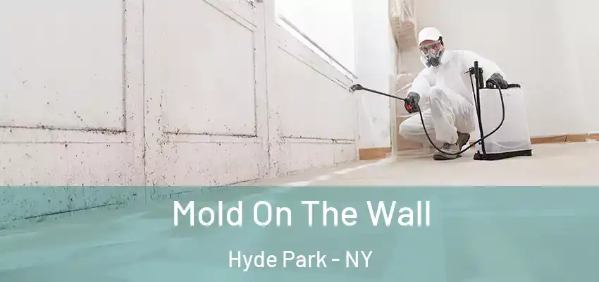 Mold On The Wall Hyde Park - NY