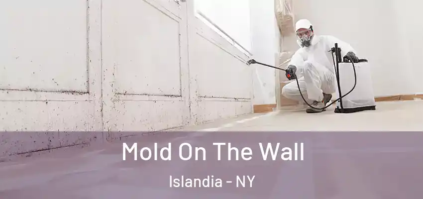  Mold On The Wall Islandia - NY