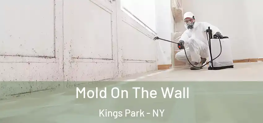 Mold On The Wall Kings Park - NY