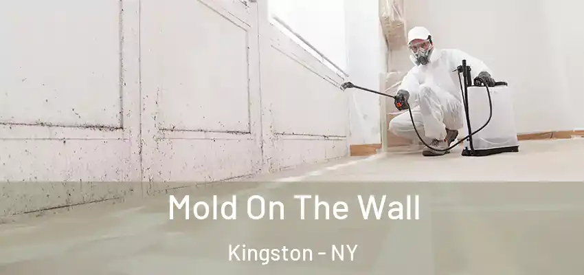 Mold On The Wall Kingston - NY