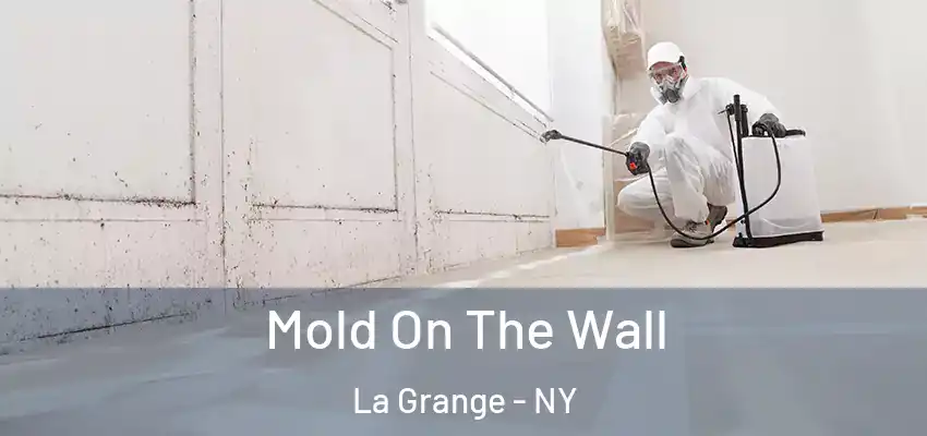  Mold On The Wall La Grange - NY