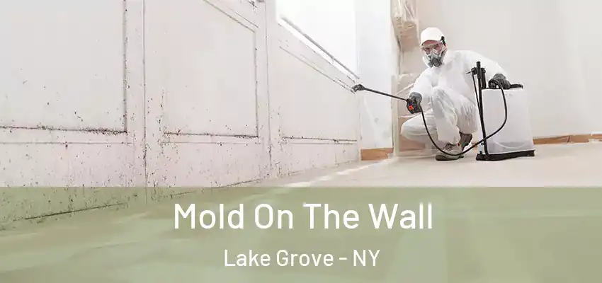  Mold On The Wall Lake Grove - NY