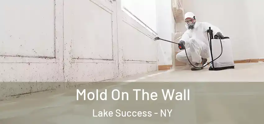  Mold On The Wall Lake Success - NY