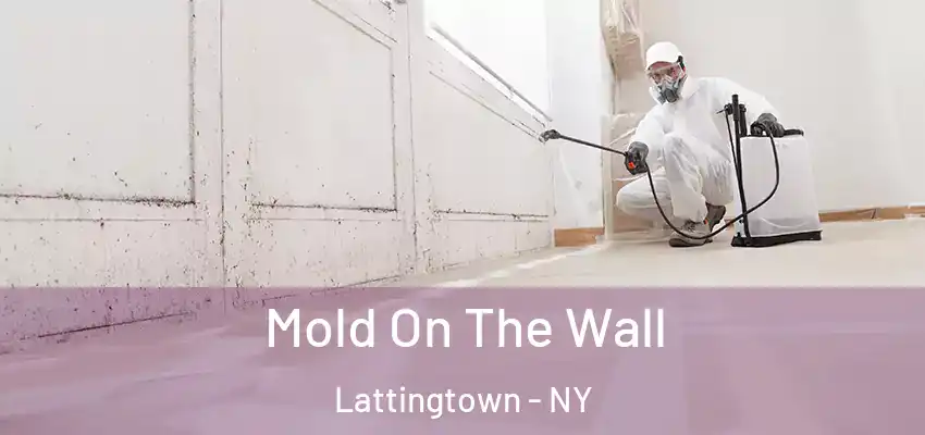  Mold On The Wall Lattingtown - NY