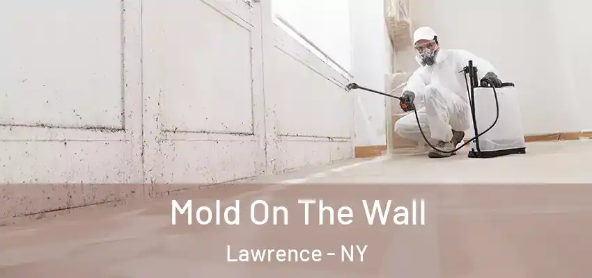 Mold On The Wall Lawrence - NY