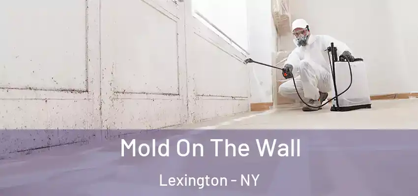  Mold On The Wall Lexington - NY